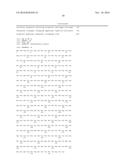 LACTIC ACID BACTERIA FOR THE PRODUCTION OF ETHANOL FROM BIOMASS MATERIAL diagram and image