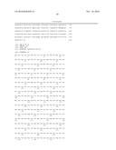 LACTIC ACID BACTERIA FOR THE PRODUCTION OF ETHANOL FROM BIOMASS MATERIAL diagram and image