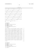 EXPRESSION OF A HAP TRANSCRIPTIONAL COMPLEX SUBUNIT diagram and image