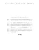 RECOMBINANT MICROORGANISMS FOR PRODUCING ORGANIC ACIDS diagram and image