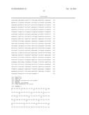 RECOMBINANT MICROORGANISMS FOR PRODUCING ORGANIC ACIDS diagram and image