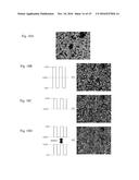 OPTICAL DEVICE AND DISPLAY DEVICE PROVIDED WITH SAME diagram and image