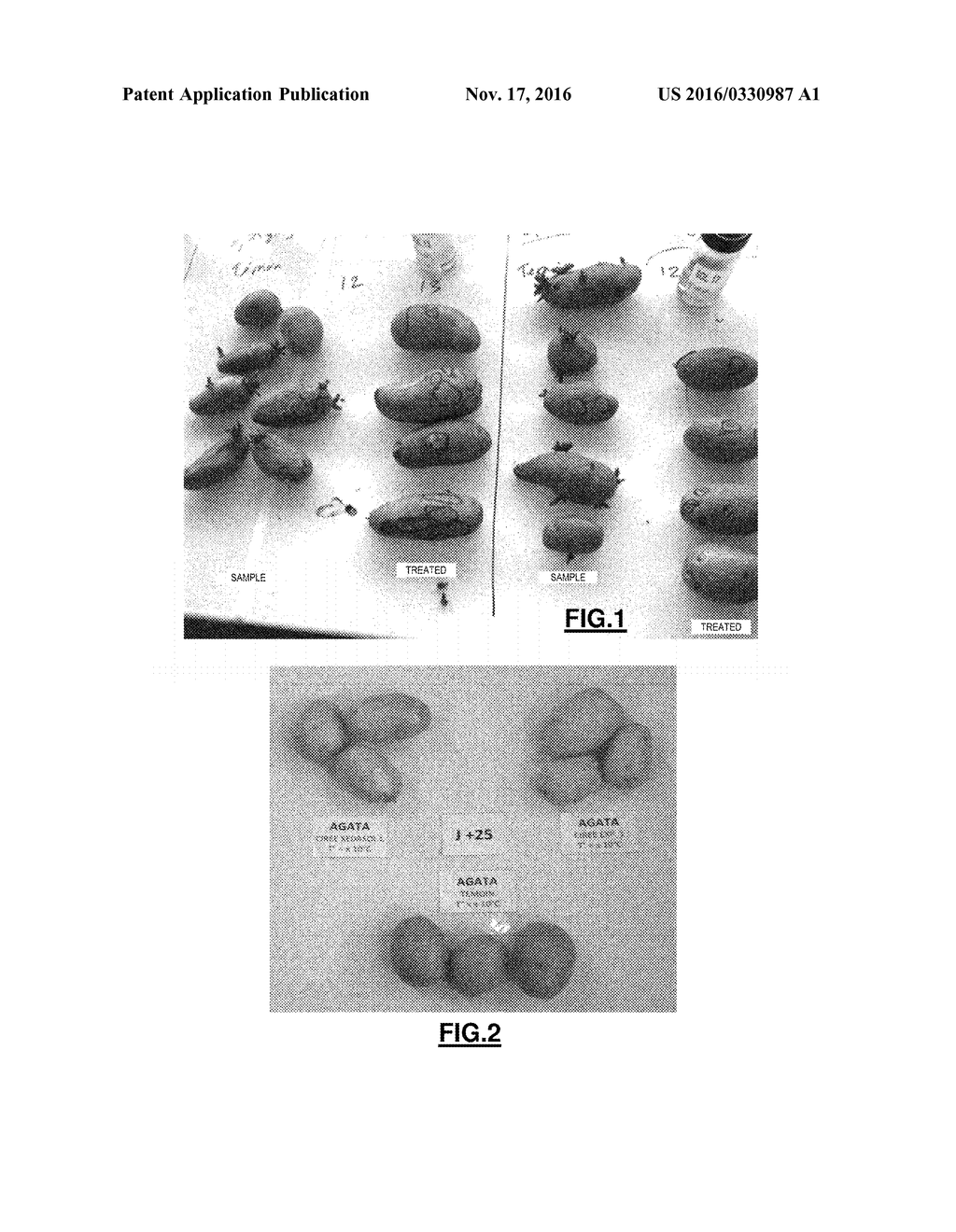 ANTI-SPROUTING COMPOSITIONS FOR COATING BULBS AND TUBERS AND THE USE     THEREOF FOR ANTI-SPROUTING TREATMENT - diagram, schematic, and image 02