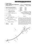 RIGID ENDOSCOPE FOR PROSTATE BIOPSY AND TREATMENT INSTRUMENT diagram and image