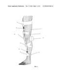 Interactive Exoskeleton Robotic Knee System diagram and image