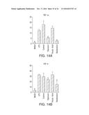 ANTIOXIDANT COMPOSITIONS FOR TREATMENT OF INFLAMMATION OR OXIDATIVE DAMAGE diagram and image