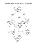 9, 10-ALPHA, ALPHA-OH-TAXANE ANALOGS AND METHOD FOR PRODUCTION THEREOF diagram and image