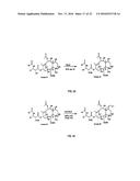 9, 10-ALPHA, ALPHA-OH-TAXANE ANALOGS AND METHOD FOR PRODUCTION THEREOF diagram and image