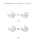 9, 10-ALPHA, ALPHA-OH-TAXANE ANALOGS AND METHOD FOR PRODUCTION THEREOF diagram and image