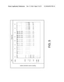 TREATING A BACTERIAL SKIN INFECTION WITH A WHOLE, LEECH SALIVA EXTRACT diagram and image