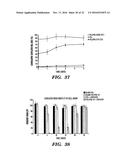 STRETCH RELEASE DRUG DELIVERY MATERIALS diagram and image