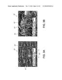 HYDROENTANGLED ELASTIC FILM-BASED, STRETCH-BONDED COMPOSITES AND METHODS     OF MAKING SAME diagram and image
