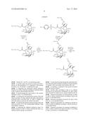 12-EPI PLEUROMUTILINS diagram and image