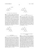 ARYL LACTA KINASE INHIBITORS diagram and image