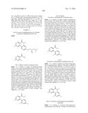 ARYL LACTA KINASE INHIBITORS diagram and image