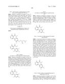 ARYL LACTA KINASE INHIBITORS diagram and image