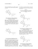 ARYL LACTA KINASE INHIBITORS diagram and image