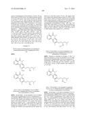 ARYL LACTA KINASE INHIBITORS diagram and image