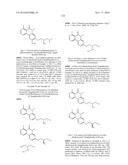 ARYL LACTA KINASE INHIBITORS diagram and image