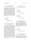 ARYL LACTA KINASE INHIBITORS diagram and image