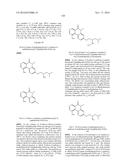 ARYL LACTA KINASE INHIBITORS diagram and image