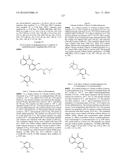 ARYL LACTA KINASE INHIBITORS diagram and image