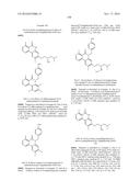 ARYL LACTA KINASE INHIBITORS diagram and image