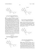 ARYL LACTA KINASE INHIBITORS diagram and image