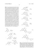 ARYL LACTA KINASE INHIBITORS diagram and image