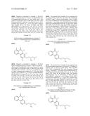 ARYL LACTA KINASE INHIBITORS diagram and image