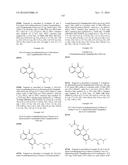 ARYL LACTA KINASE INHIBITORS diagram and image