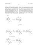 ARYL LACTA KINASE INHIBITORS diagram and image