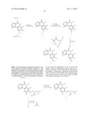 ARYL LACTA KINASE INHIBITORS diagram and image