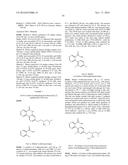 ARYL LACTA KINASE INHIBITORS diagram and image