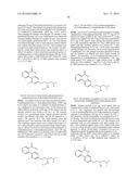 ARYL LACTA KINASE INHIBITORS diagram and image