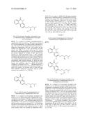 ARYL LACTA KINASE INHIBITORS diagram and image