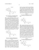 ARYL LACTA KINASE INHIBITORS diagram and image