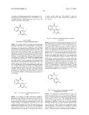 ARYL LACTA KINASE INHIBITORS diagram and image