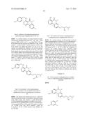 ARYL LACTA KINASE INHIBITORS diagram and image