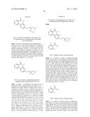 ARYL LACTA KINASE INHIBITORS diagram and image