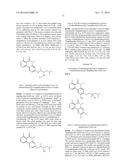 ARYL LACTA KINASE INHIBITORS diagram and image