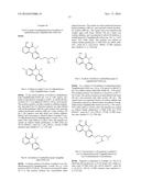 ARYL LACTA KINASE INHIBITORS diagram and image