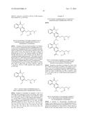 ARYL LACTA KINASE INHIBITORS diagram and image