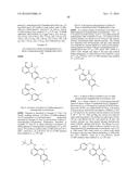 ARYL LACTA KINASE INHIBITORS diagram and image