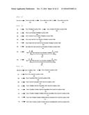 NOVEL CROSS-LINKED PEPTIDES CONTAINING NON-PEPTIDE CROSS-LINKED STRUCTURE,     METHOD FOR SYNTHESIZING CROSS-LINKED PEPTIDES, AND NOVEL ORGANIC COMPOUND     USED IN METHOD diagram and image