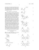 TEMPLATE-FIXED BETA-HAIRPIN PEPTIDOMIMETICS WITH PROTEASE INHIBITORY     ACTIVITY diagram and image