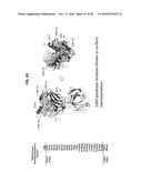 NEUTRALIZING GP41 ANTIBODIES AND THEIR USE diagram and image