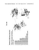 NEUTRALIZING GP41 ANTIBODIES AND THEIR USE diagram and image