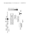 ANTI-FZD10 MONOCLONAL ANTIBODIES AND METHODS FOR THEIR USE diagram and image