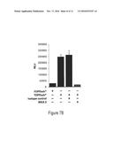 ANTI-FZD10 MONOCLONAL ANTIBODIES AND METHODS FOR THEIR USE diagram and image